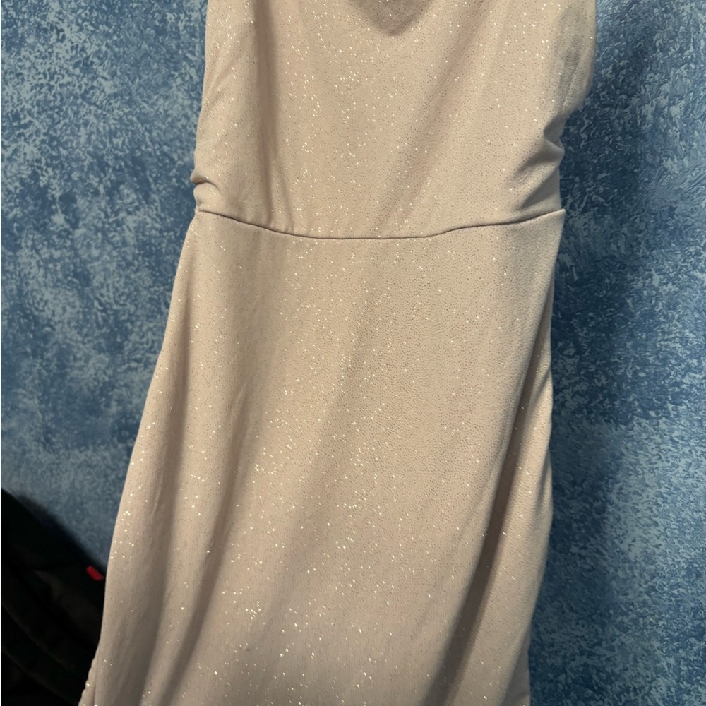 Windsor Shimmering Silver Backless Dress